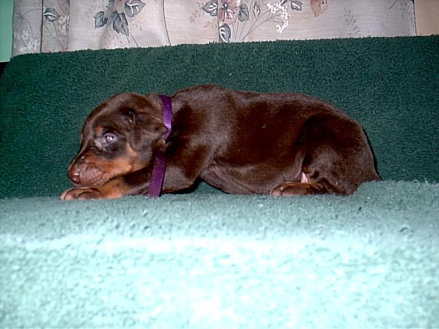 imag0794.jpg